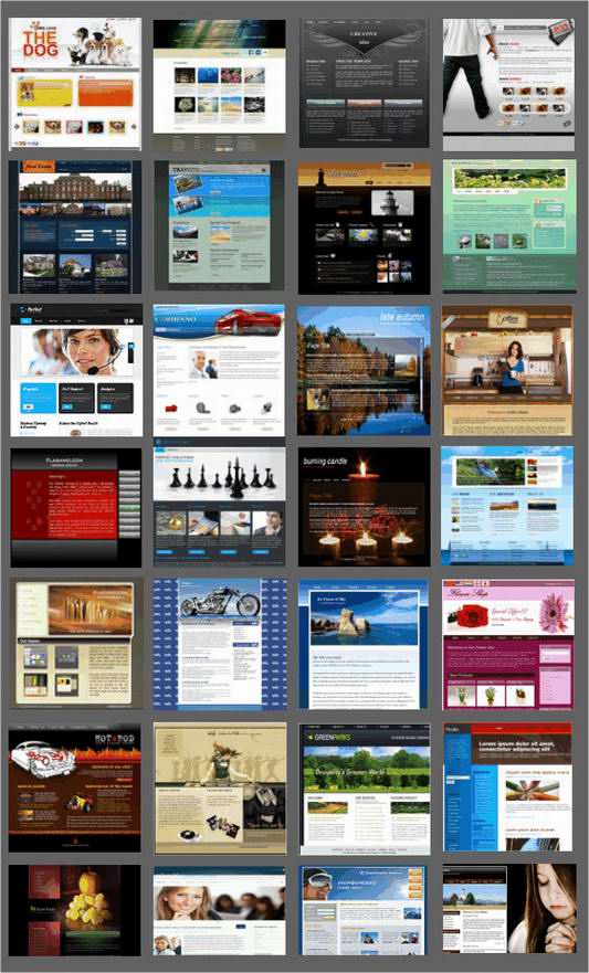 Website